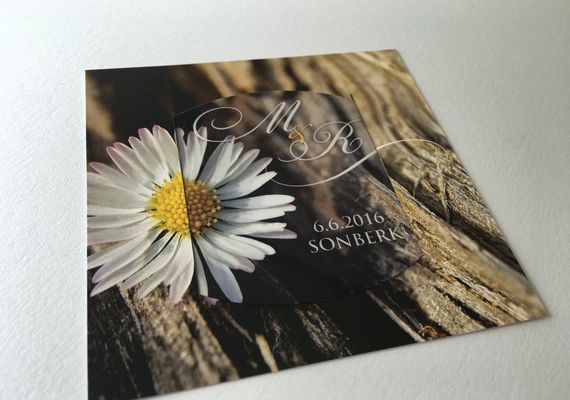 Vinná nálevka jednodílná